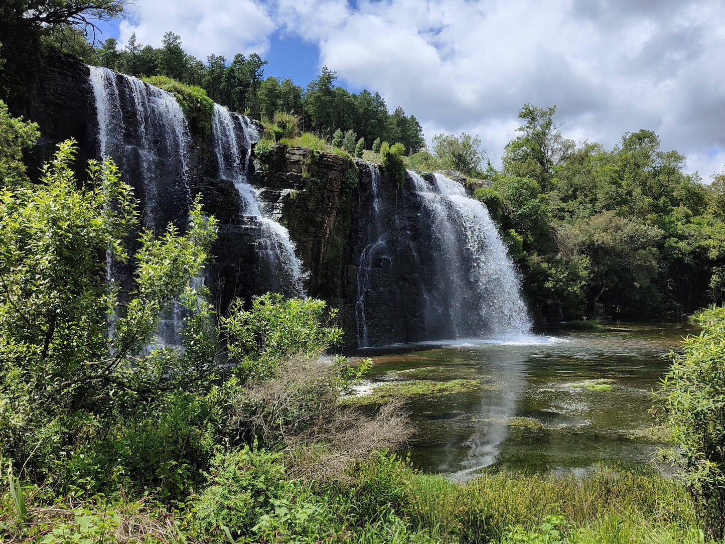  Forest Falls