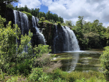  Forest Falls