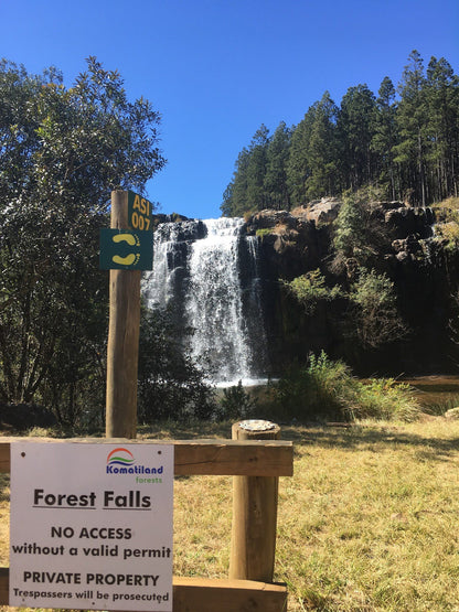  Forest Falls