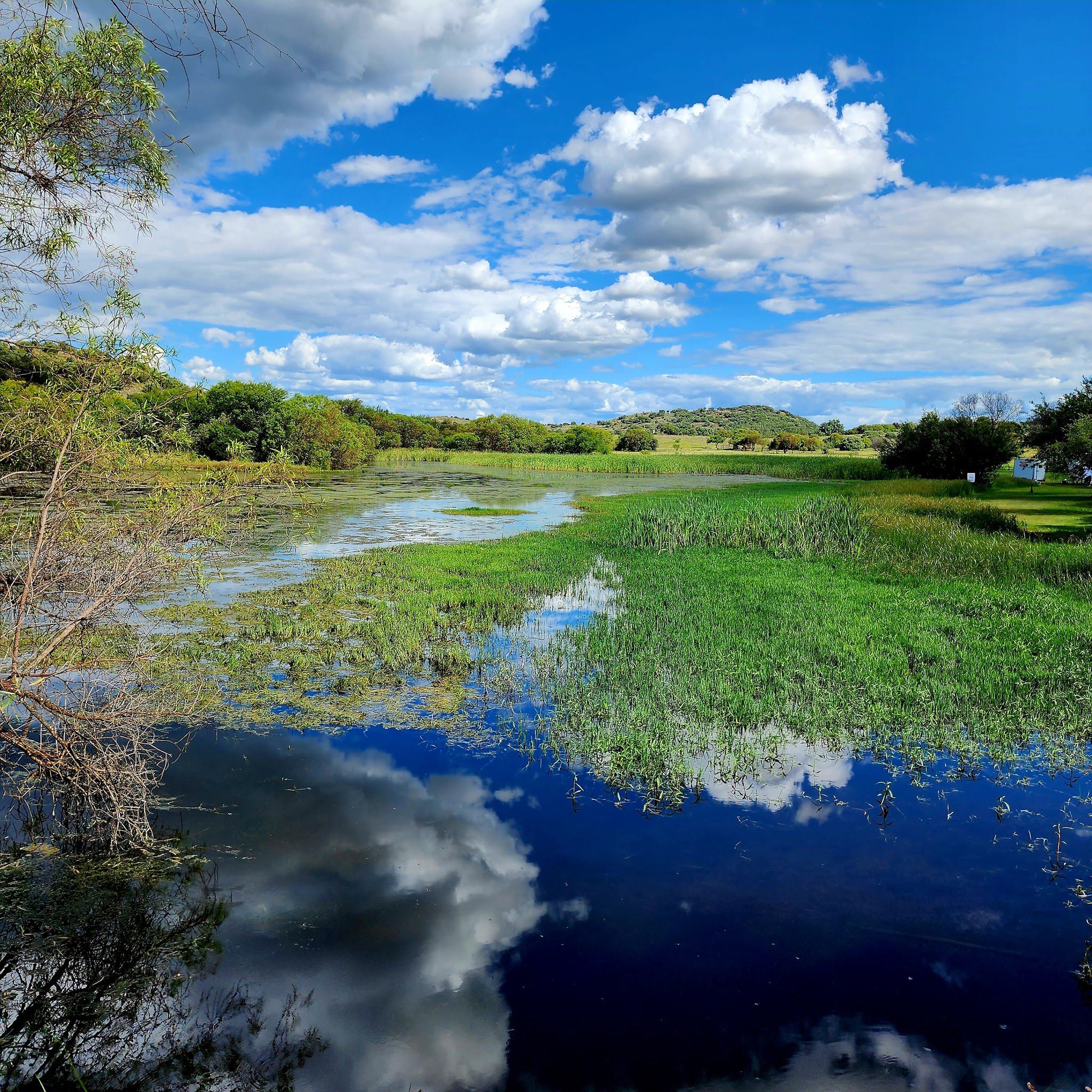  Free State National Botanical Garden