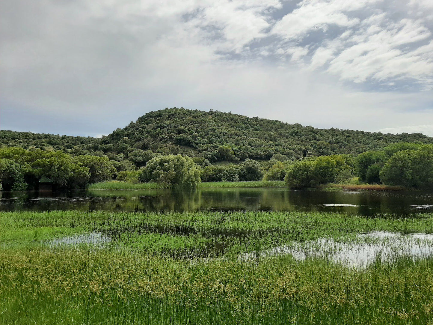  Free State National Botanical Garden