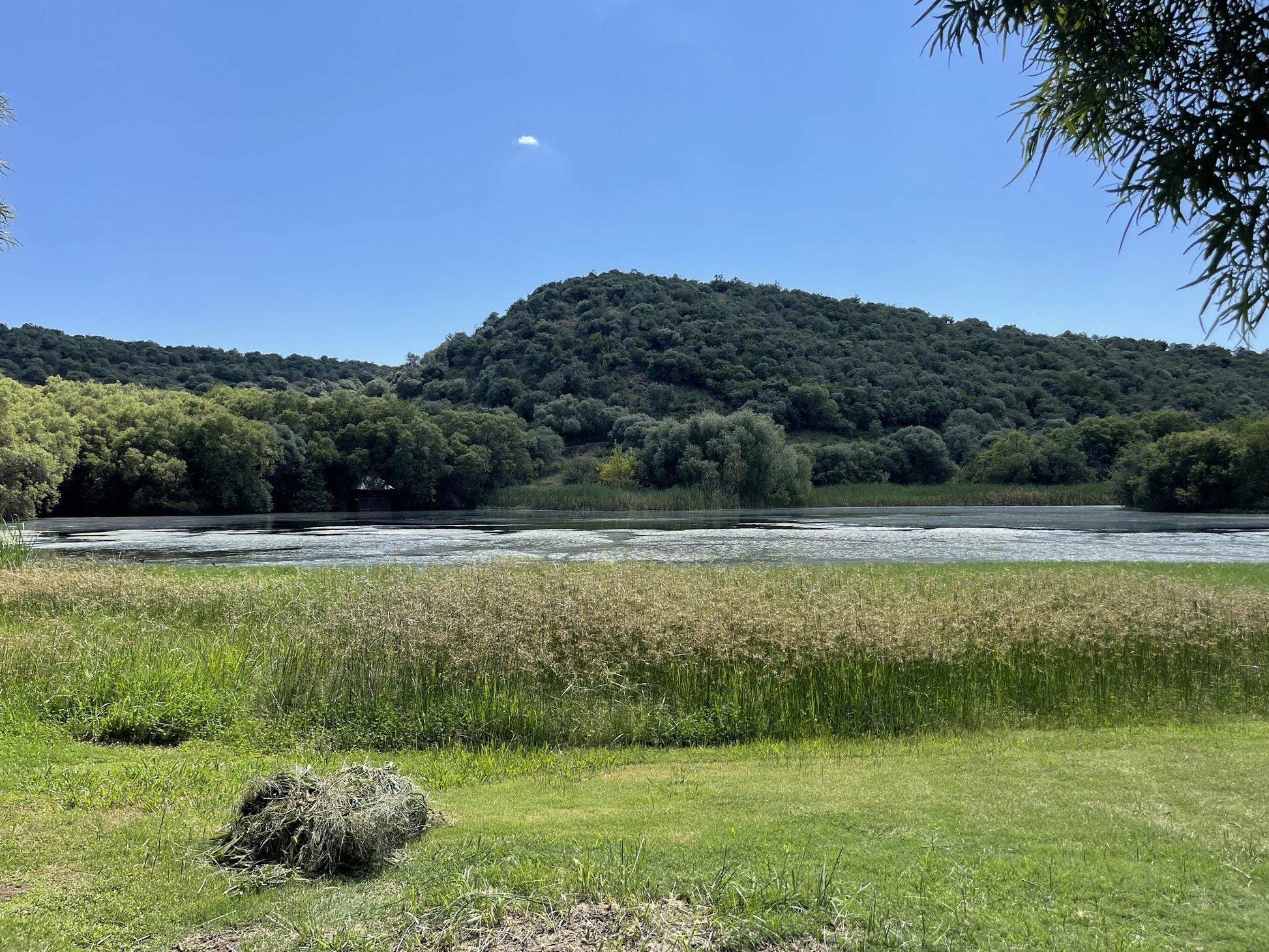  Free State National Botanical Garden