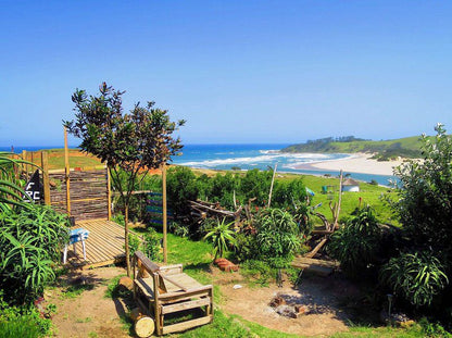 Freedom O Clock Backpacking Retreat Mdumbi Beach Eastern Cape South Africa Complementary Colors, Beach, Nature, Sand, Island, Palm Tree, Plant, Wood