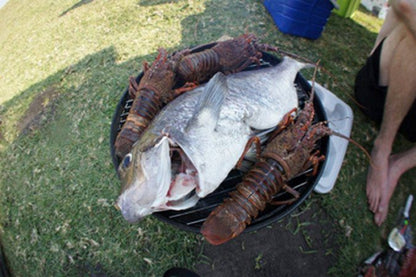 Freedom O Clock Backpacking Retreat Mdumbi Beach Eastern Cape South Africa Fish, Marine Animal, Animal