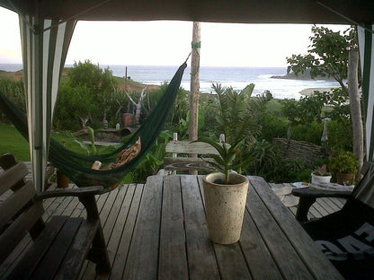 Freedom O Clock Backpacking Retreat Mdumbi Beach Eastern Cape South Africa Beach, Nature, Sand, Palm Tree, Plant, Wood, Framing