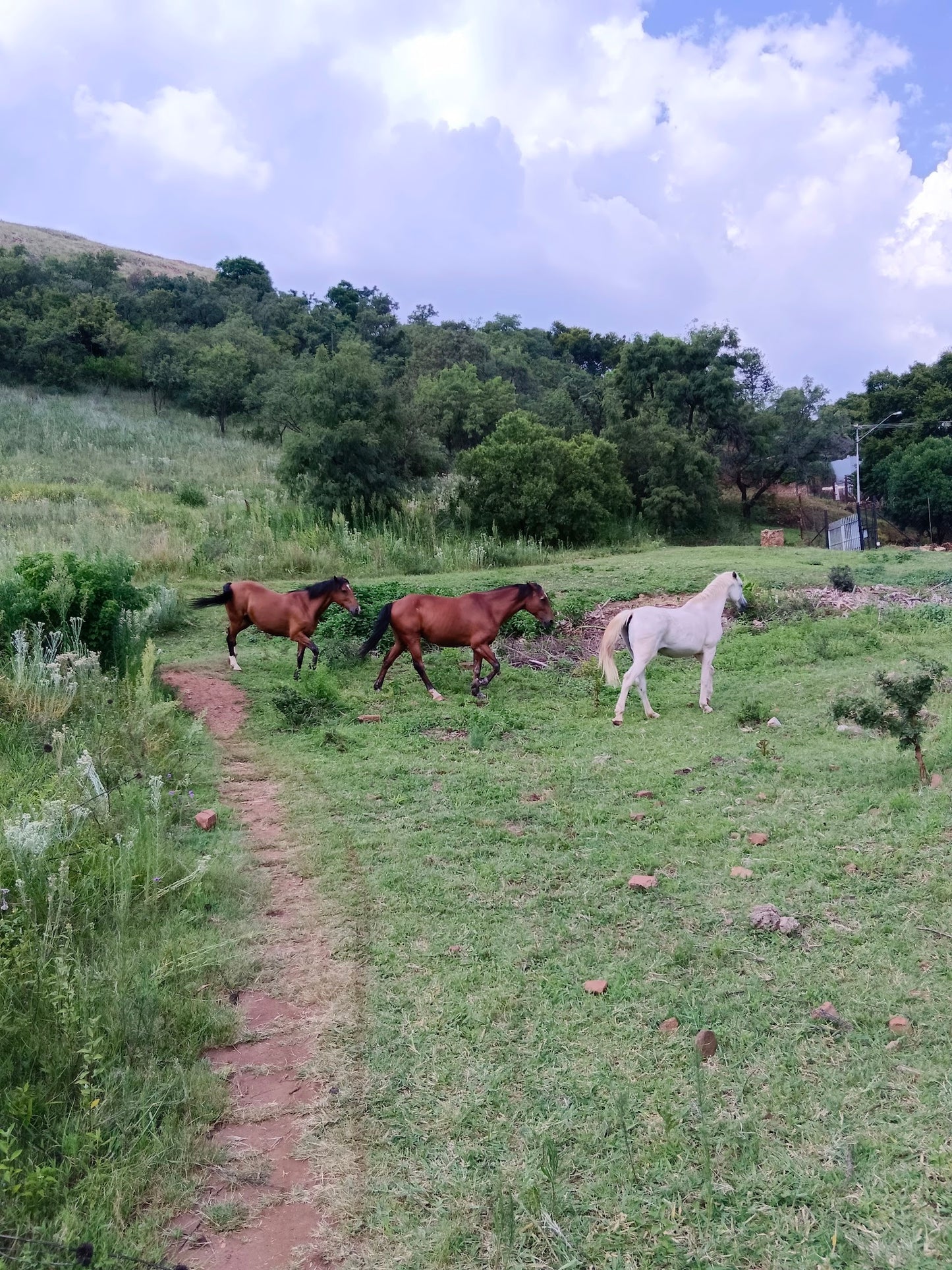 Friends of Magalies