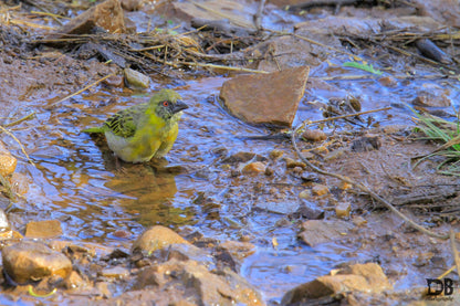 Friends of Magalies