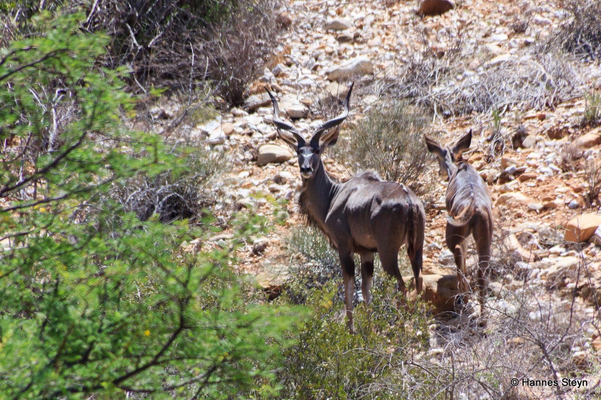  Gamkaskloof Nature Reserve