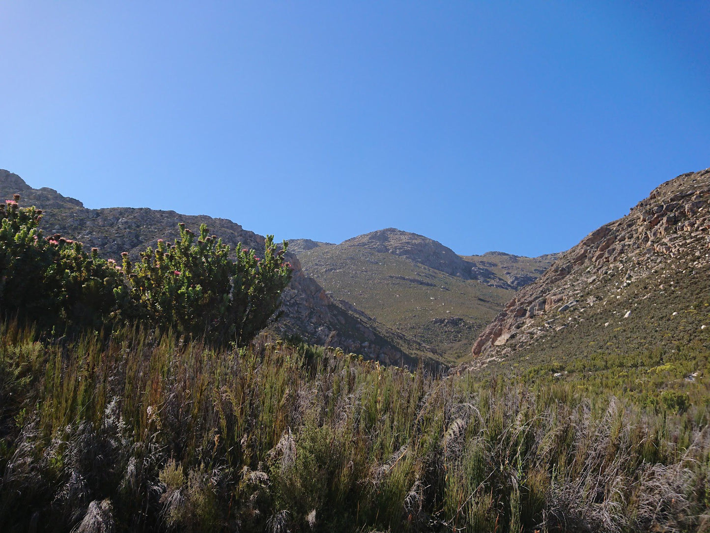  Gamkaskloof Nature Reserve