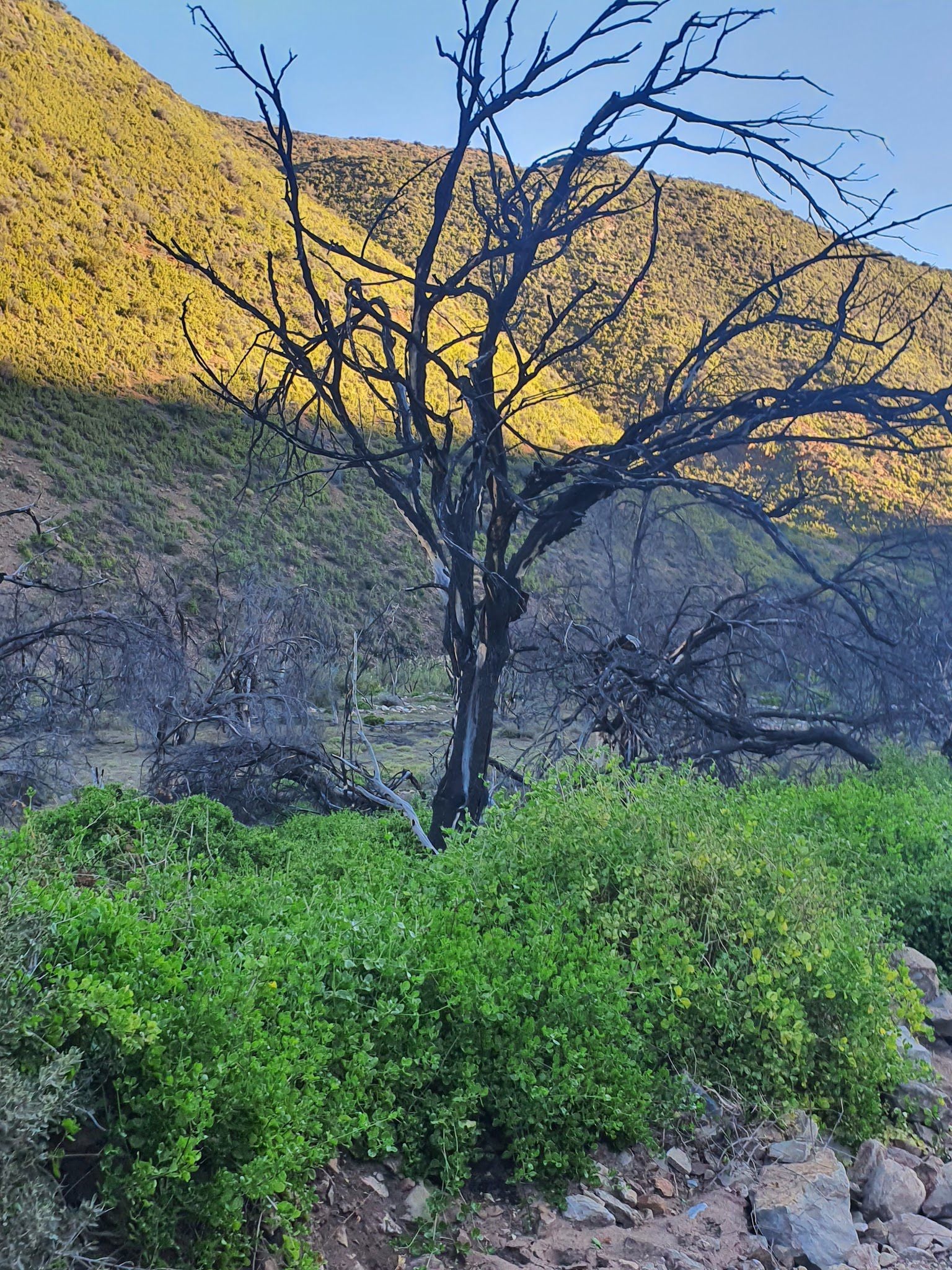  Gamkaskloof Nature Reserve