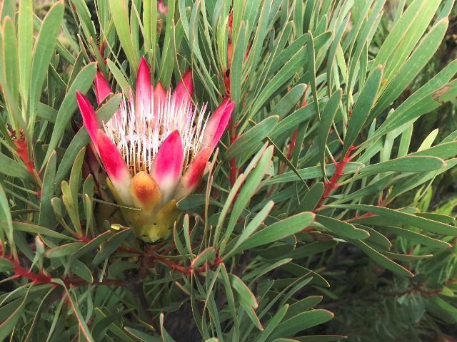  Gamkaskloof Nature Reserve