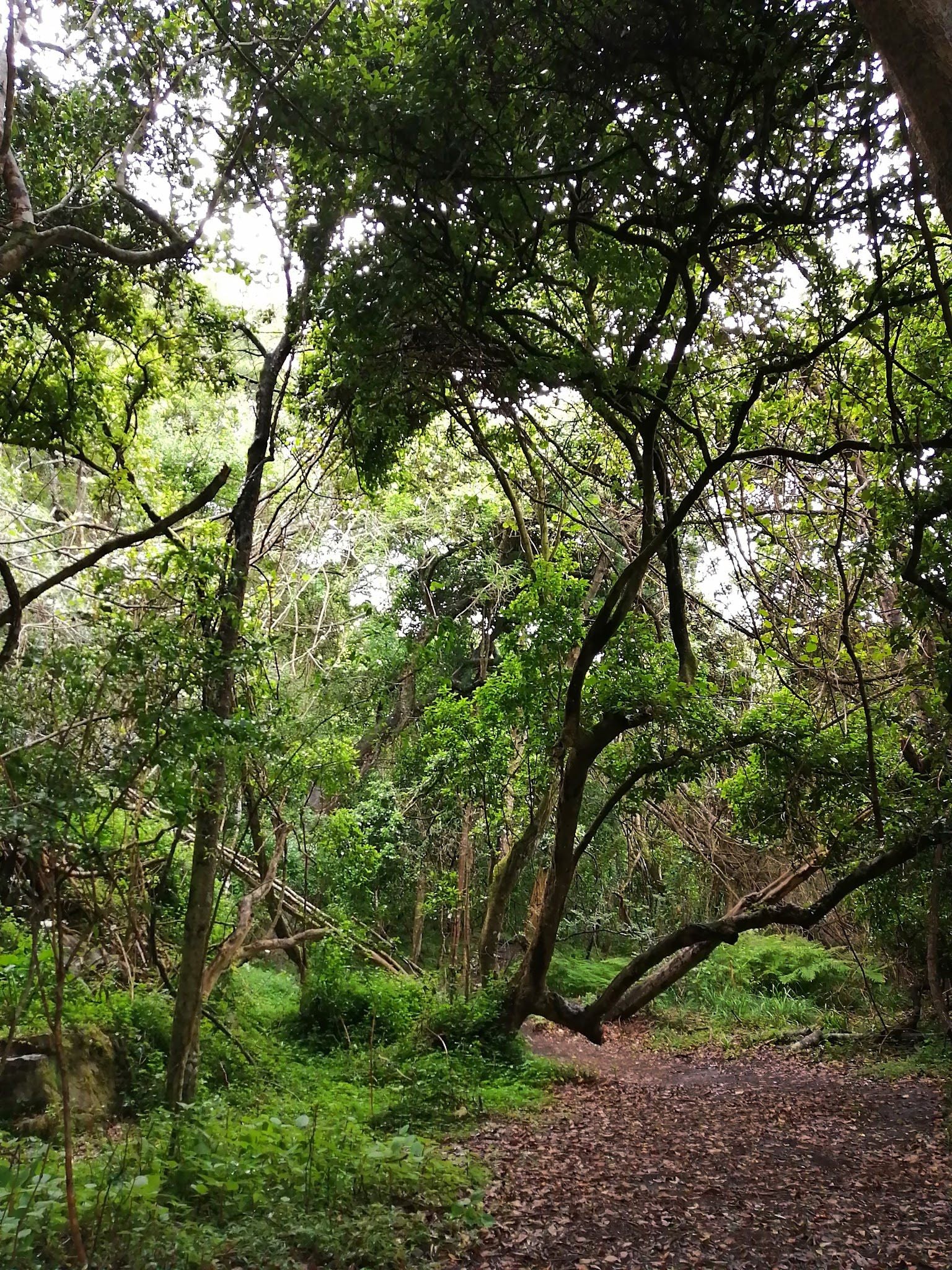  Garden Route National Park - Wilderness Section