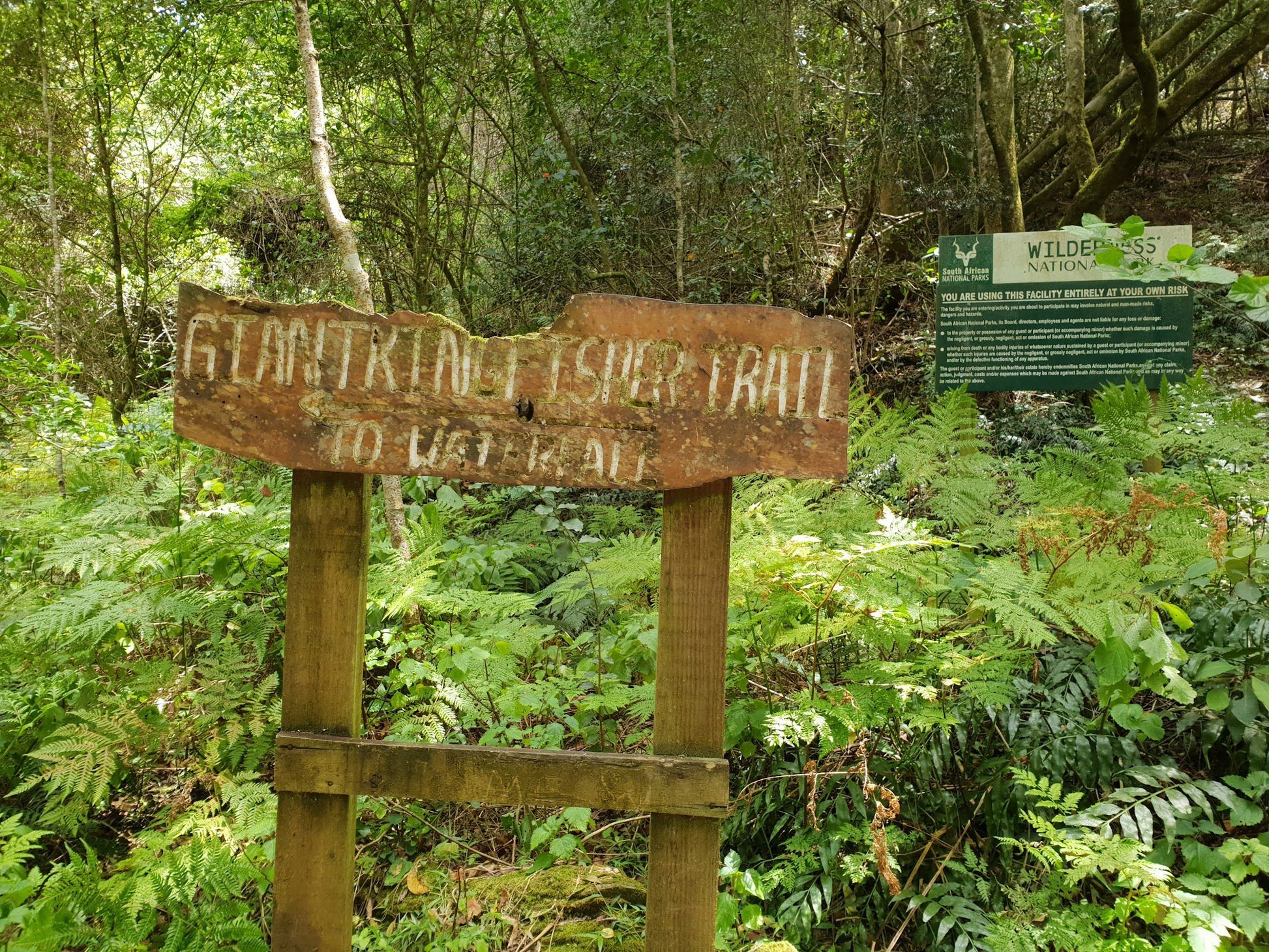  Garden Route National Park - Wilderness Section