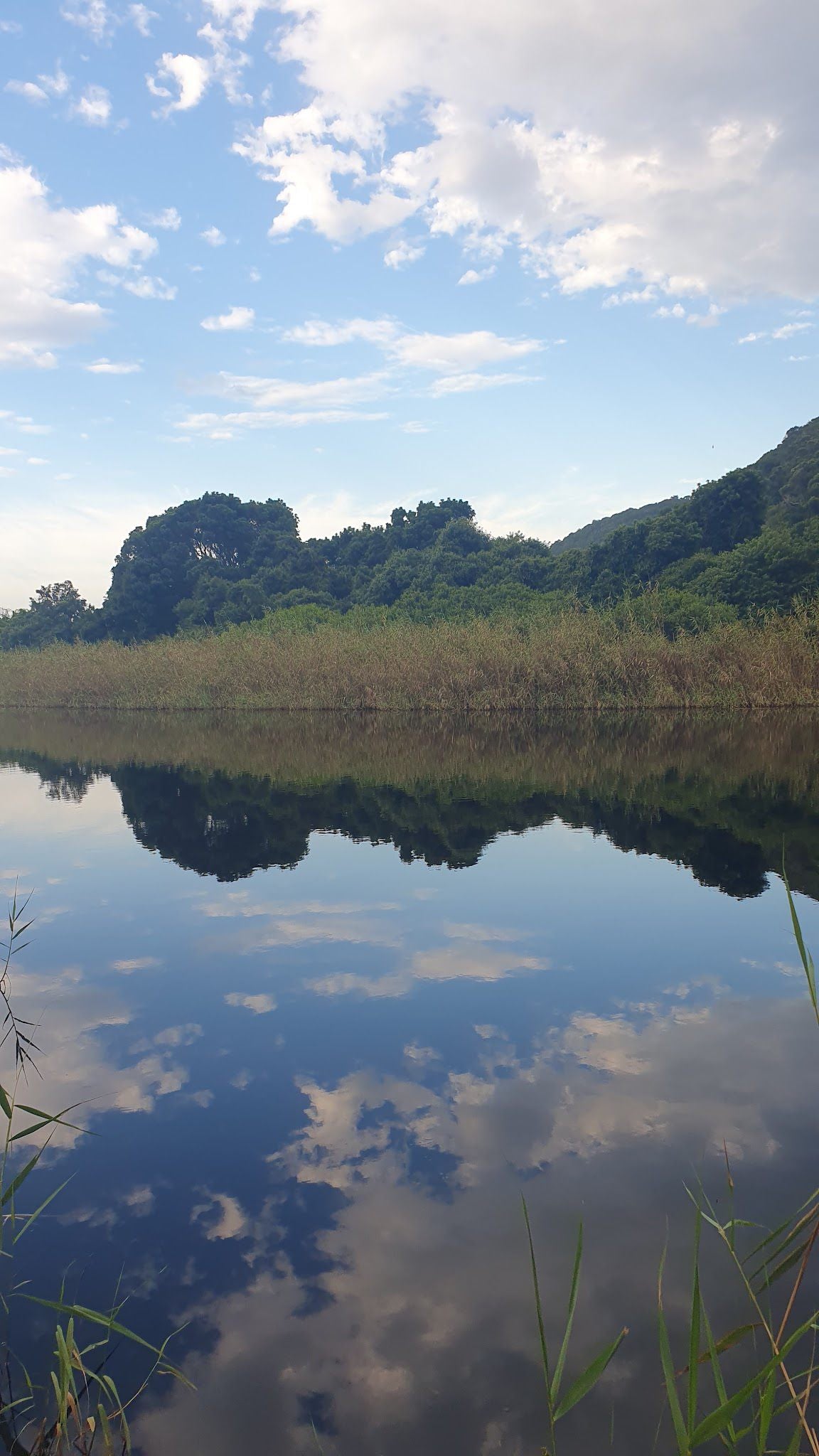  Garden Route National Park - Wilderness Section