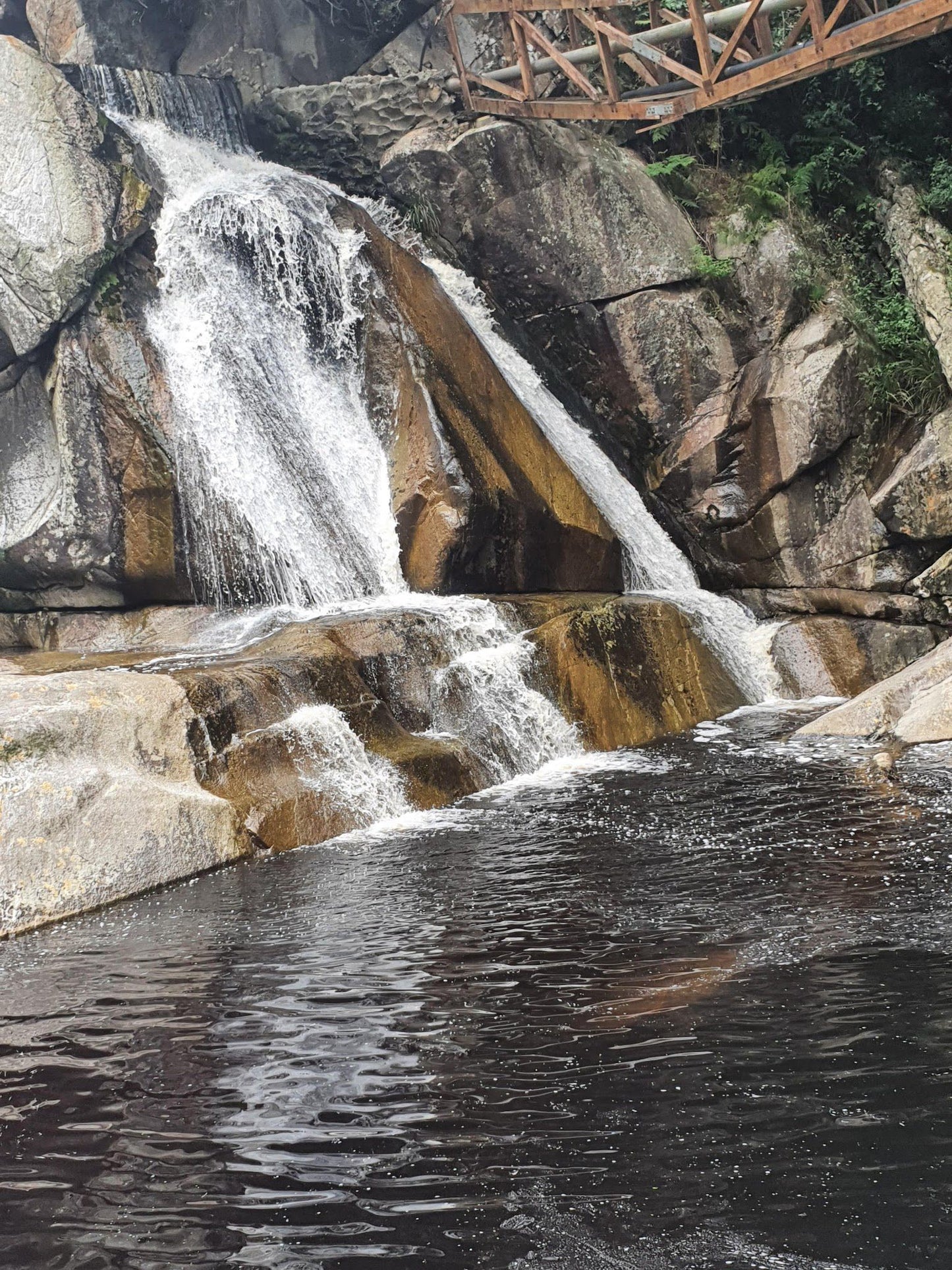  Garden Route National Park - Wilderness Section