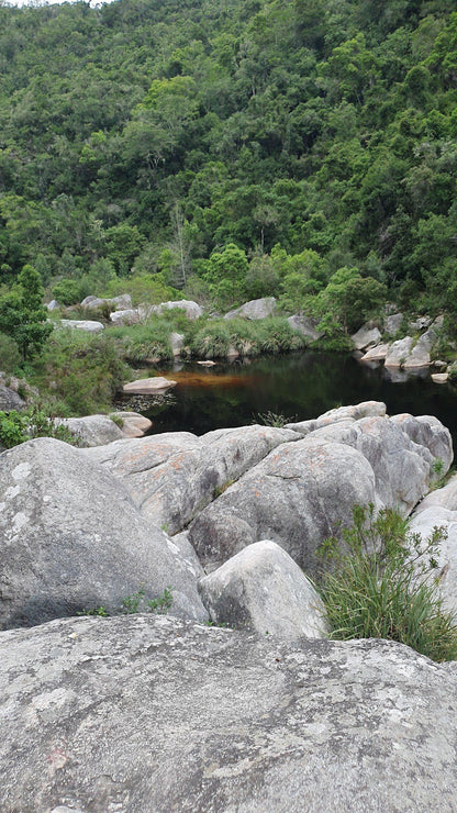  Garden Route National Park - Wilderness Section