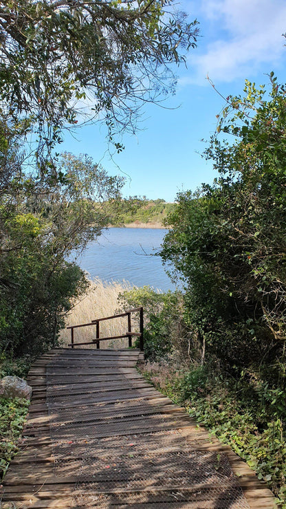  Garden Route National Park - Wilderness Section