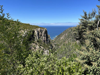  Garden Route National Park