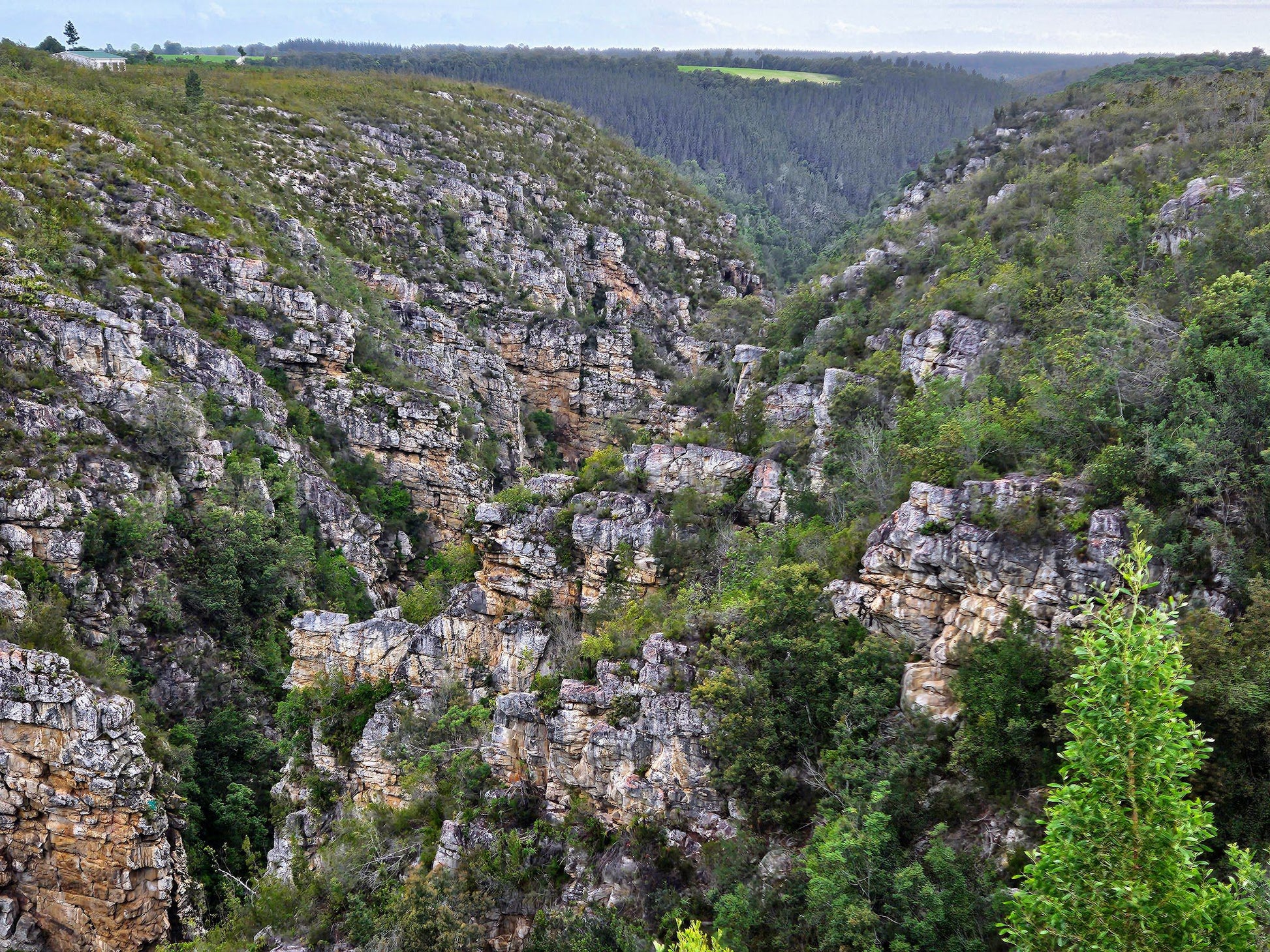  Garden Route National Park