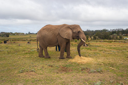  Garden Route National Park