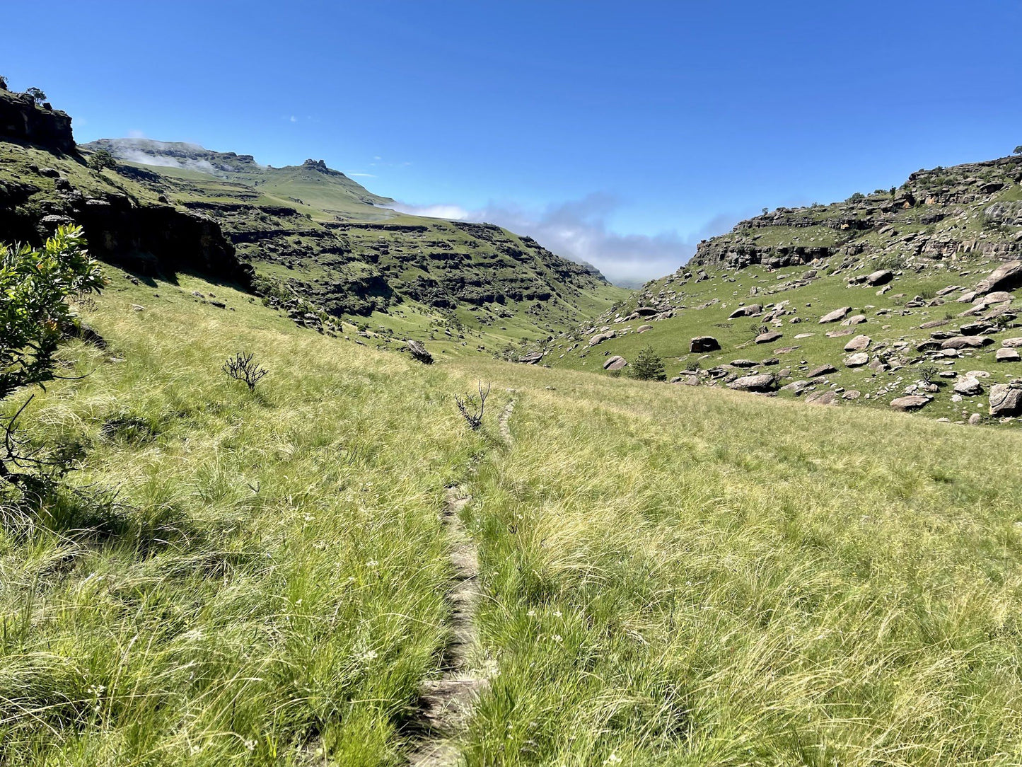 Giant's Cup Trailhead