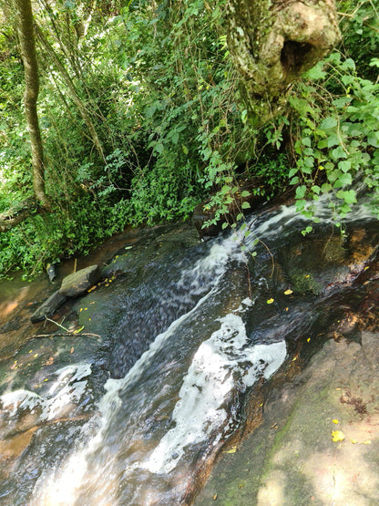  Giba Gorge Mountain Bike Park