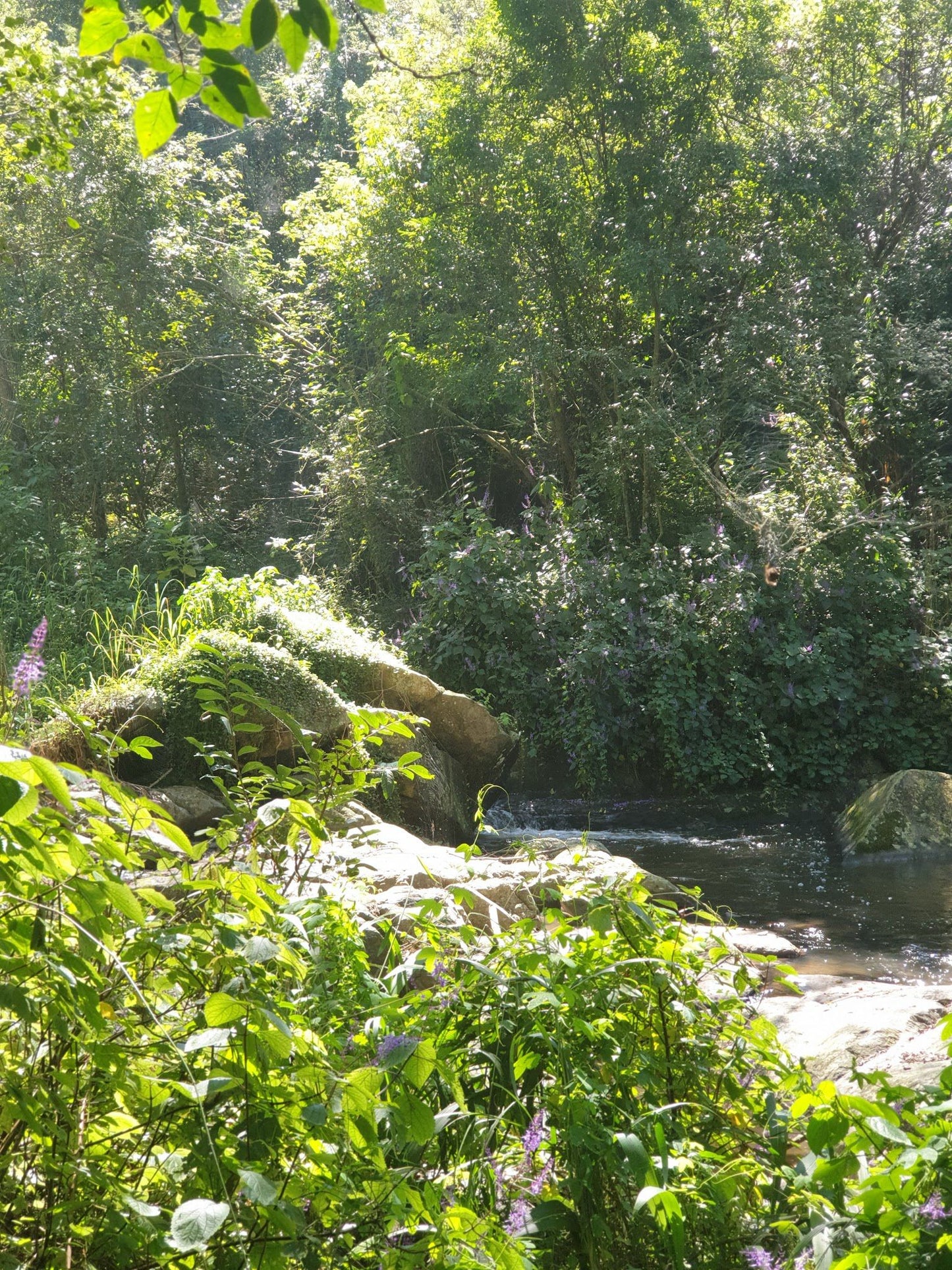  Giba Gorge Mountain Bike Park