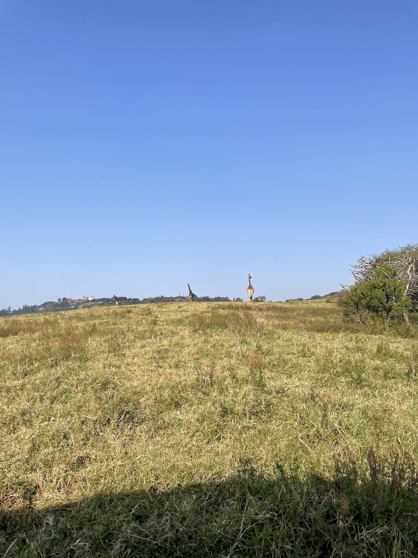  Giba Gorge Mountain Bike Park