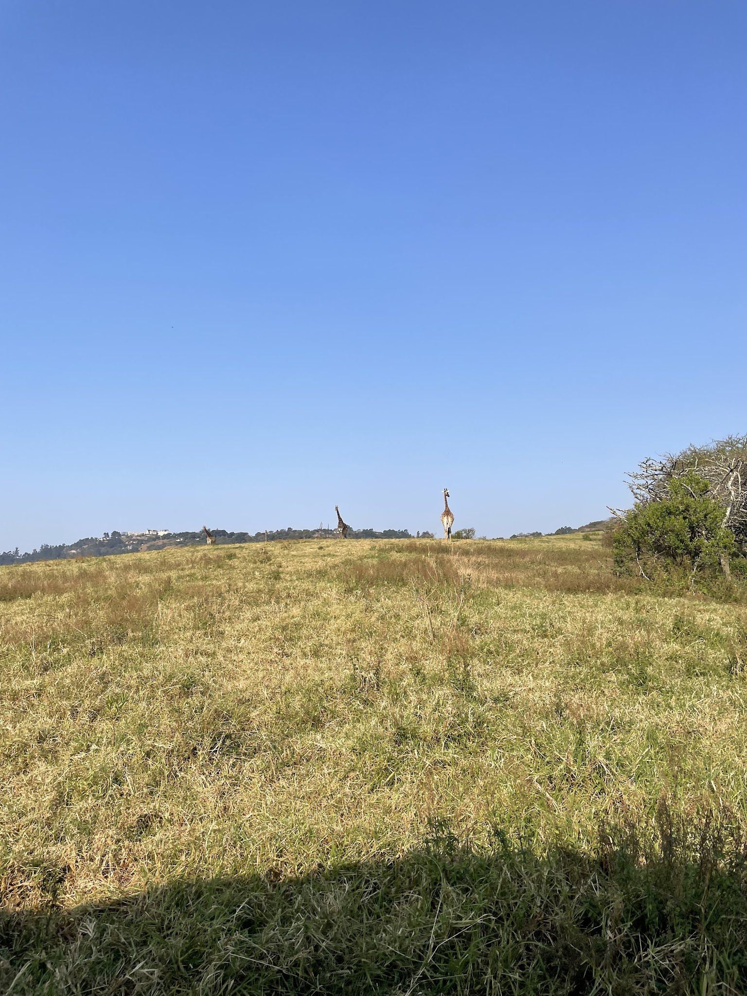  Giba Gorge Mountain Bike Park