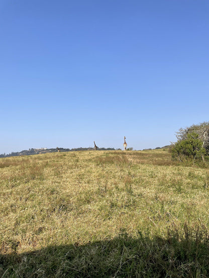  Giba Gorge Mountain Bike Park