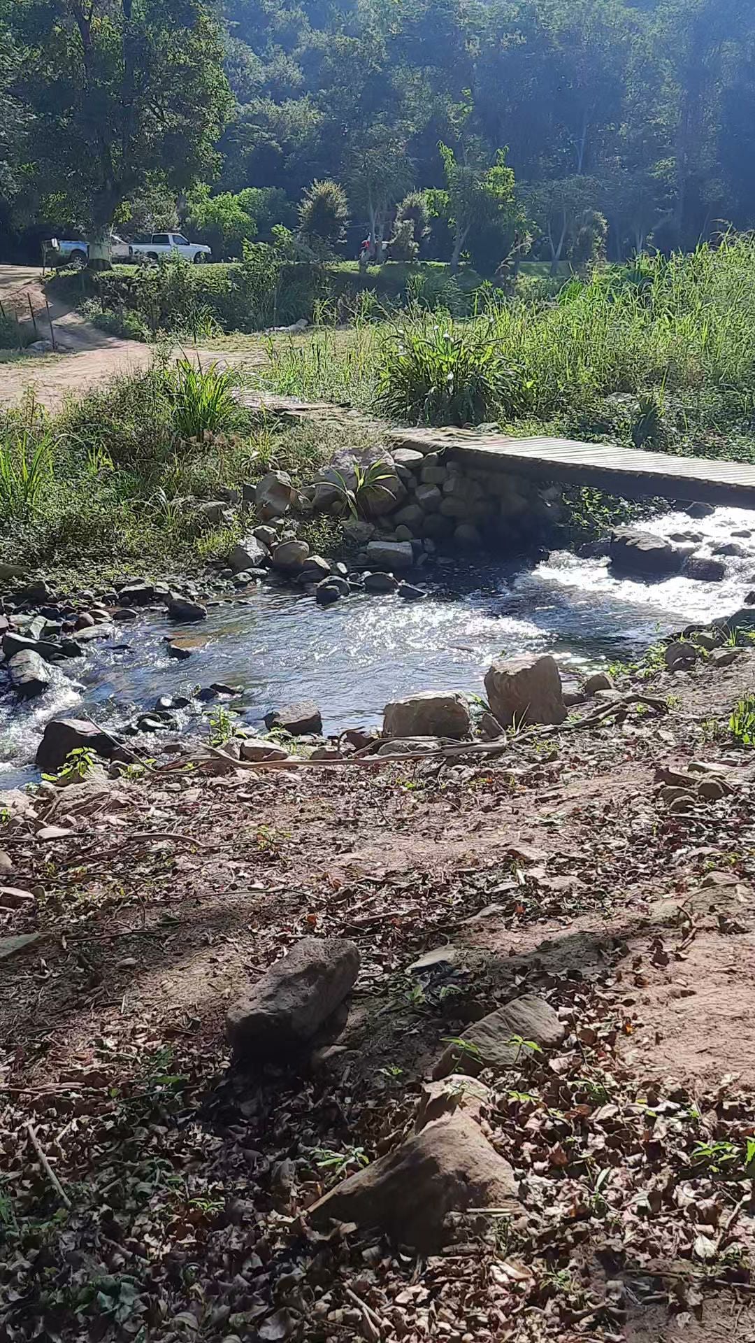  Giba Gorge Mountain Bike Park