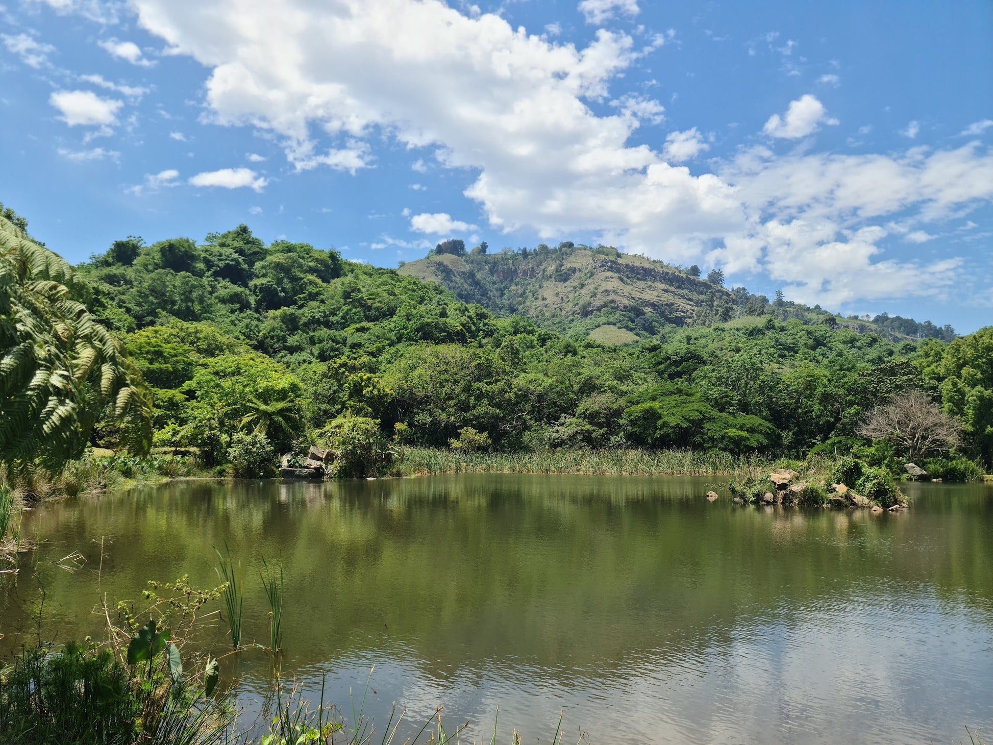  Giba Gorge Mountain Bike Park