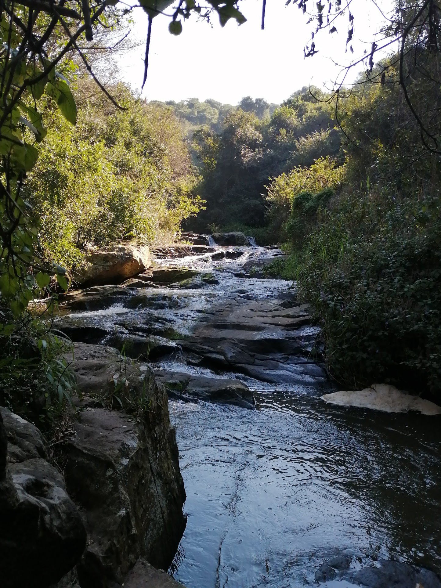  Giba Gorge Mountain Bike Park