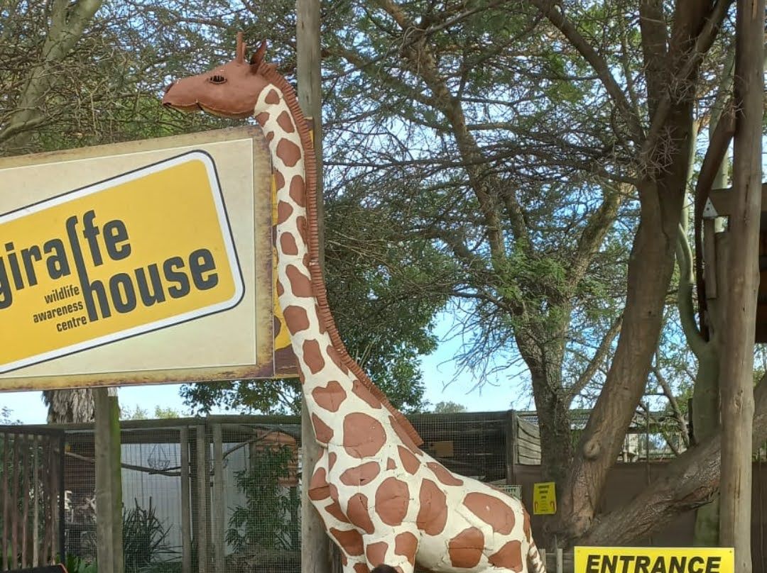  Giraffe House