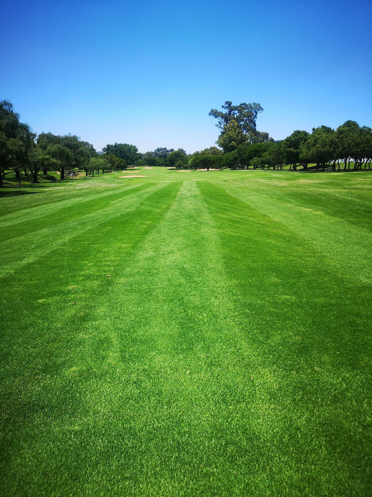  Glendower Golf Club