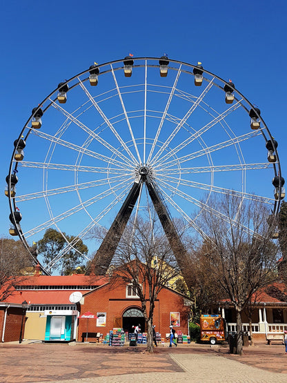  Gold Reef City Theme Park