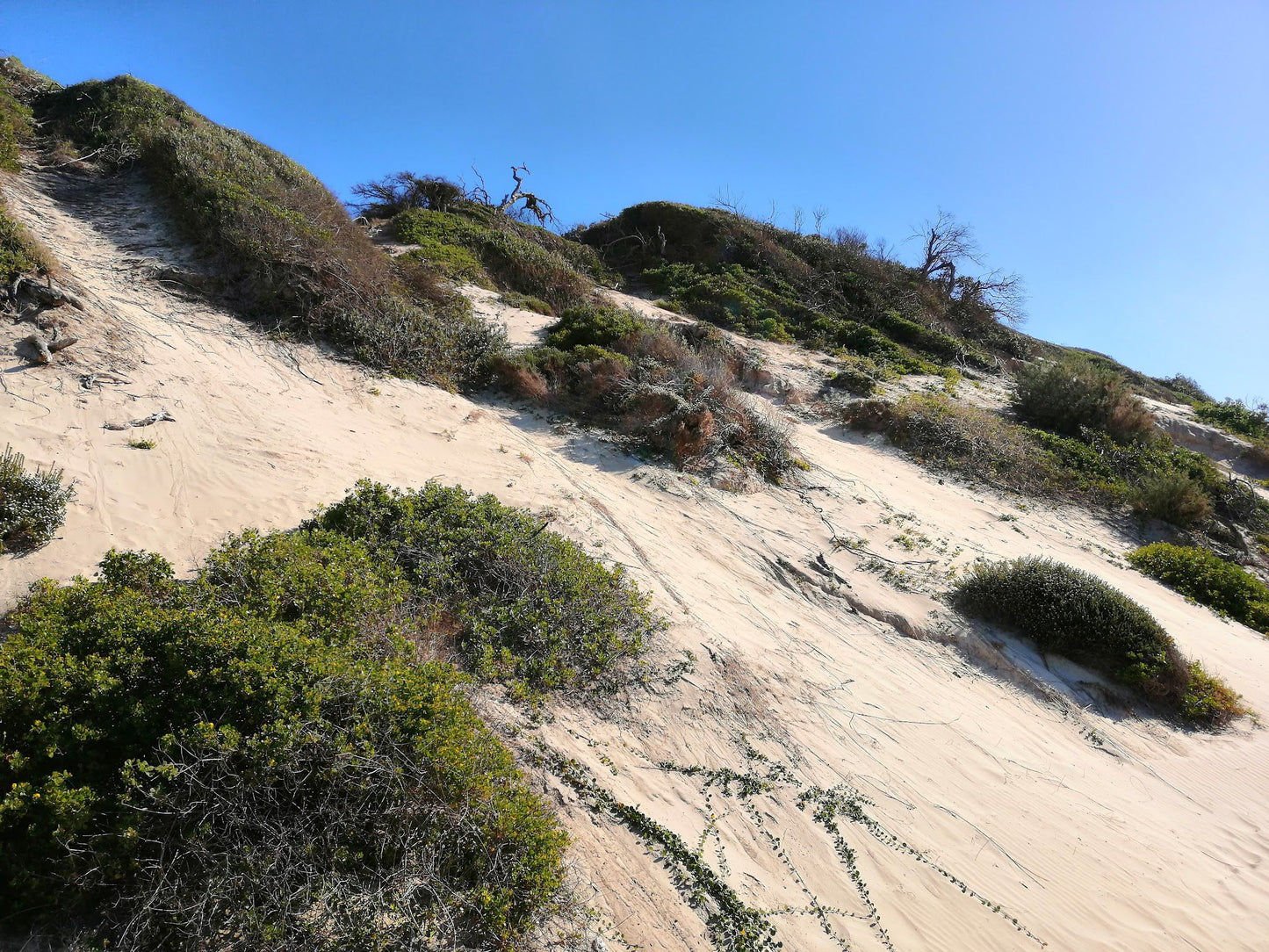  Gonubie Boardwalk