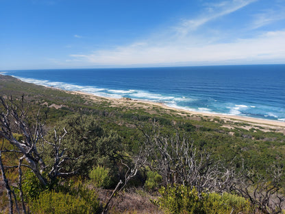 Goukamma Bushpig Trail