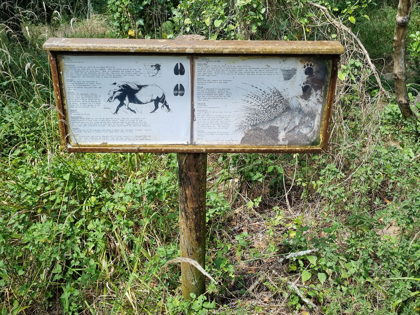 Goukamma Bushpig Trail