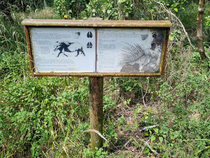 Goukamma Bushpig Trail