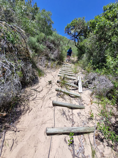 Goukamma Bushpig Trail