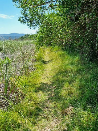 Goukamma Bushpig Trail