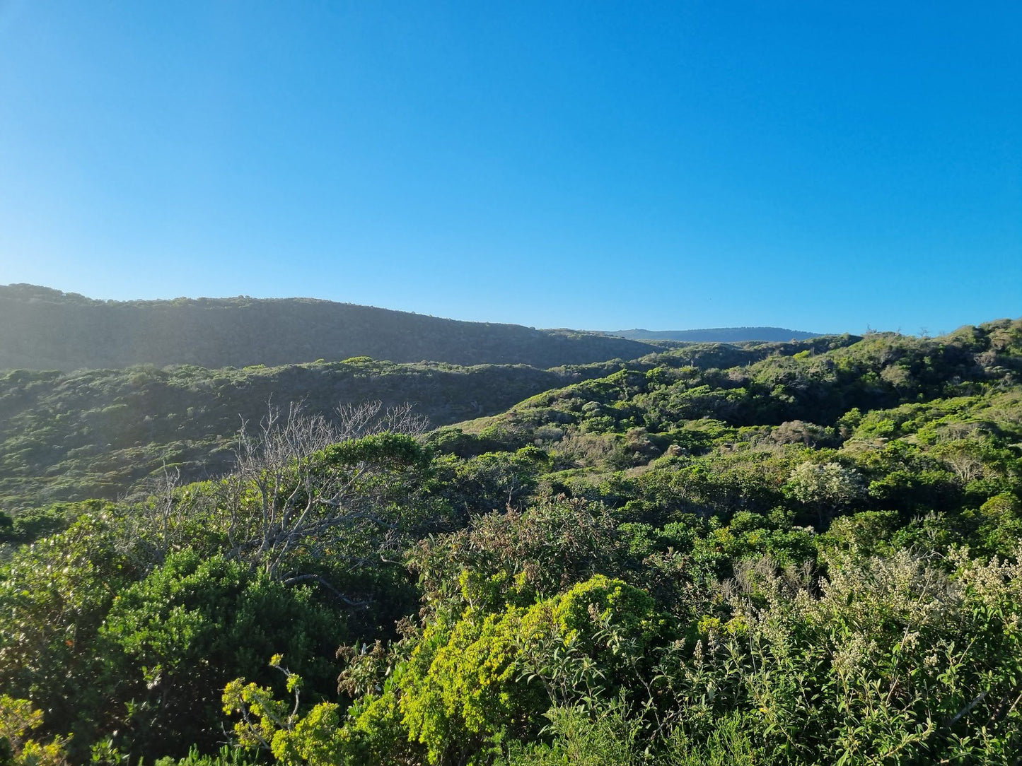  Goukamma Nature Reserve