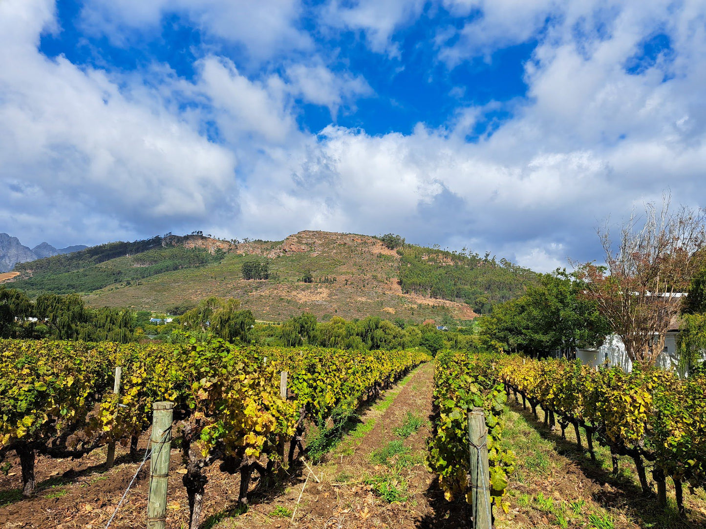  Grande Provence Wine Estate - The Winery