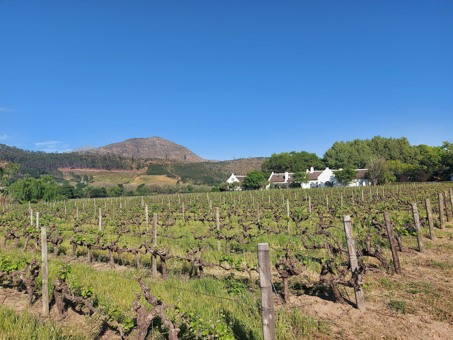  Grande Provence Wine Estate - The Winery