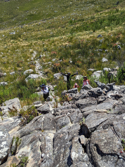 Green Mountain Trail