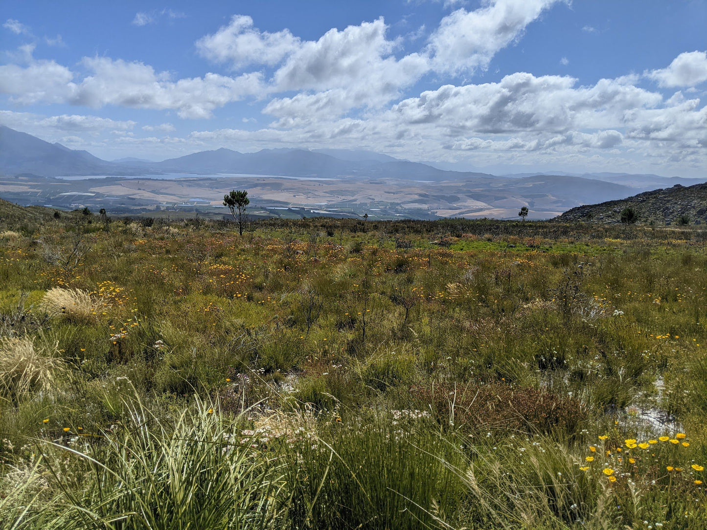 Green Mountain Trail