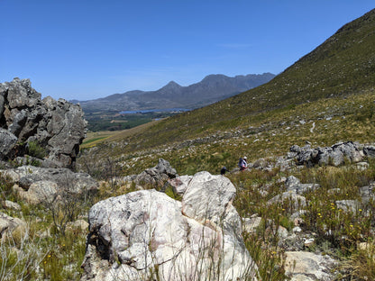 Green Mountain Trail