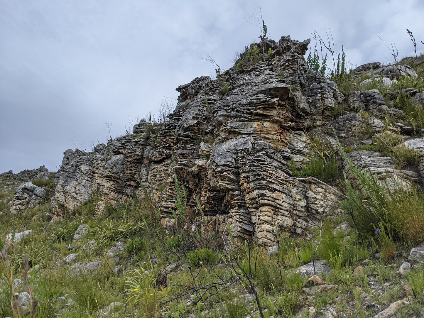 Green Mountain Trail