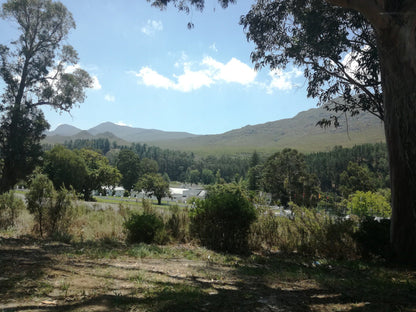 Green Mountain Trail